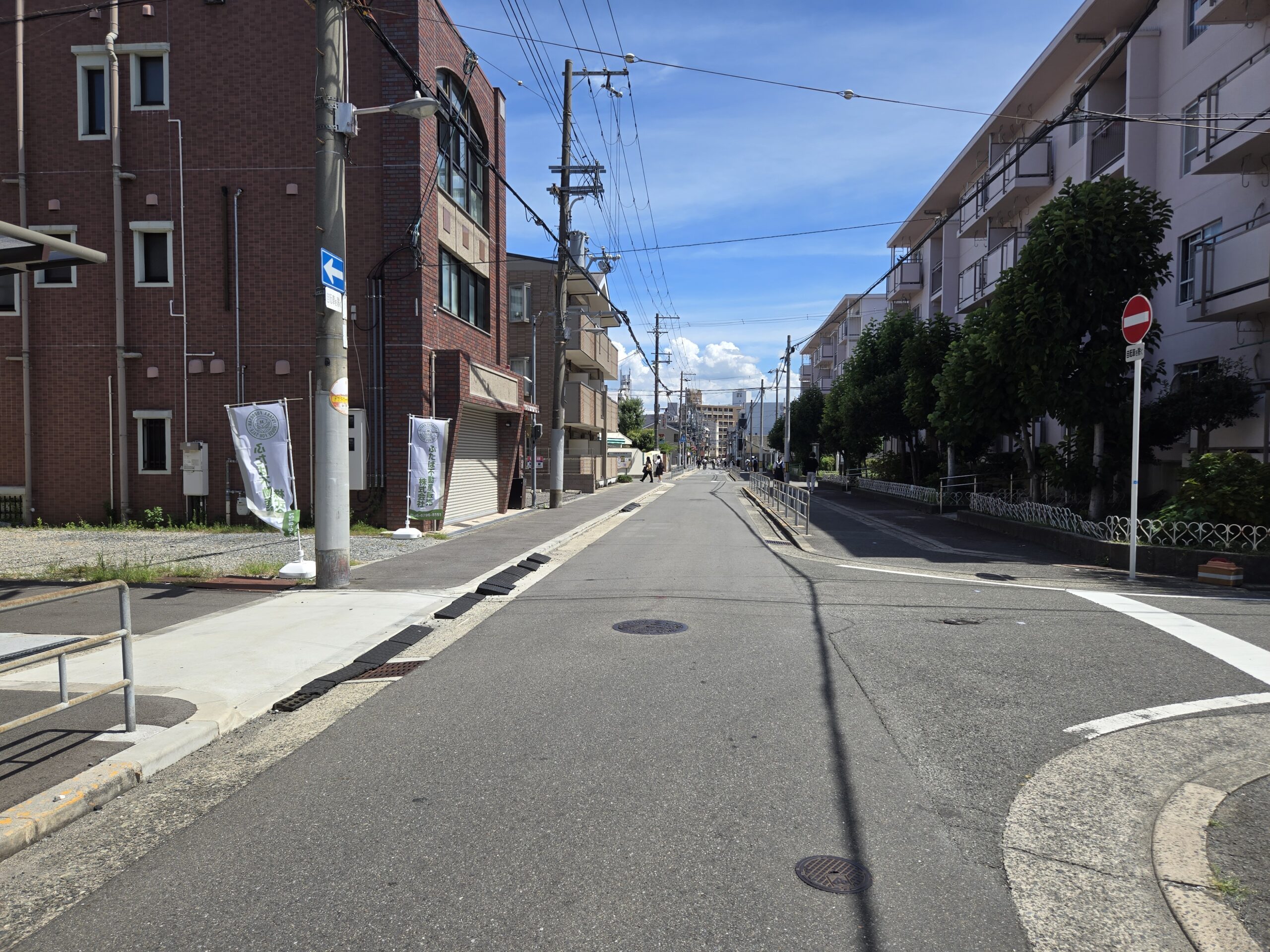 南西側 前面道路